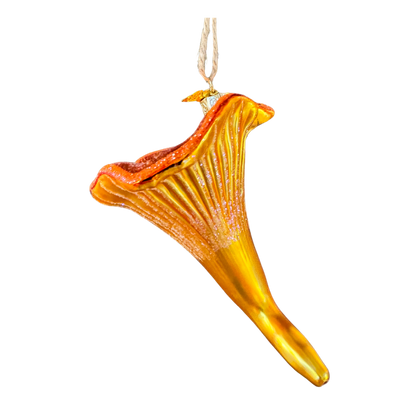 Chanterelle Mushroom